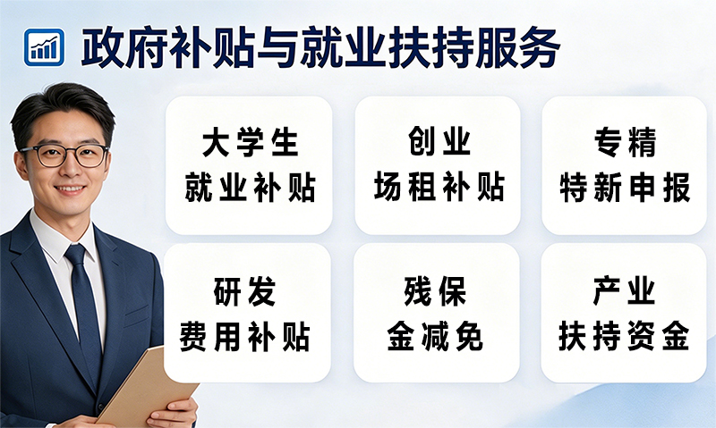 政府补贴与就业扶持服务